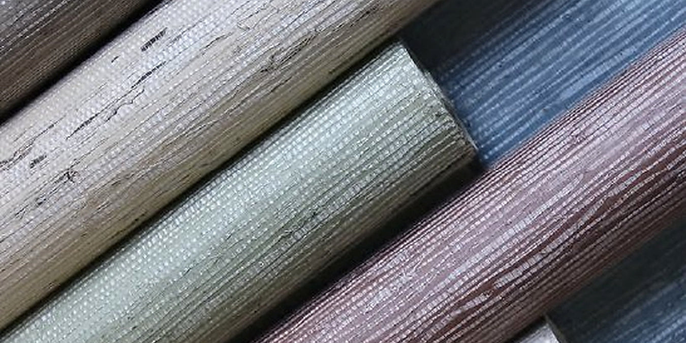 Arrowroot