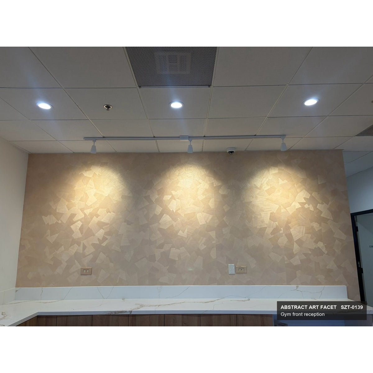 Abstract Art SZT-0139 on the wall behind a gym front reception desk, lit by three spotlights
