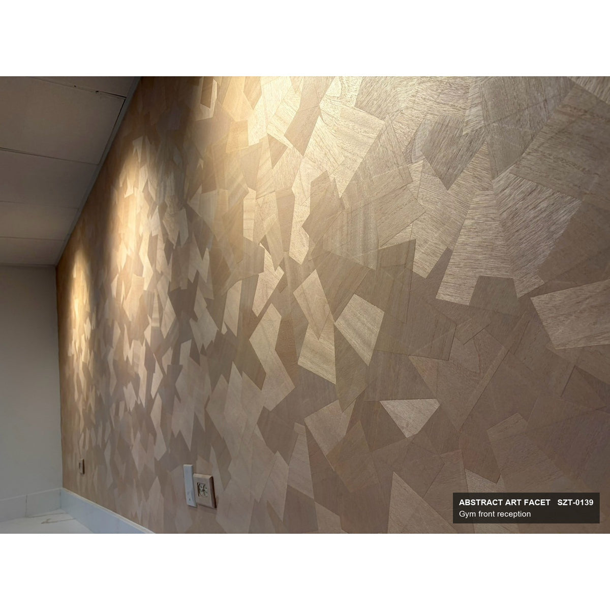 Abstract Art SZT-0139 in raking light, showing the wood veneer pieces