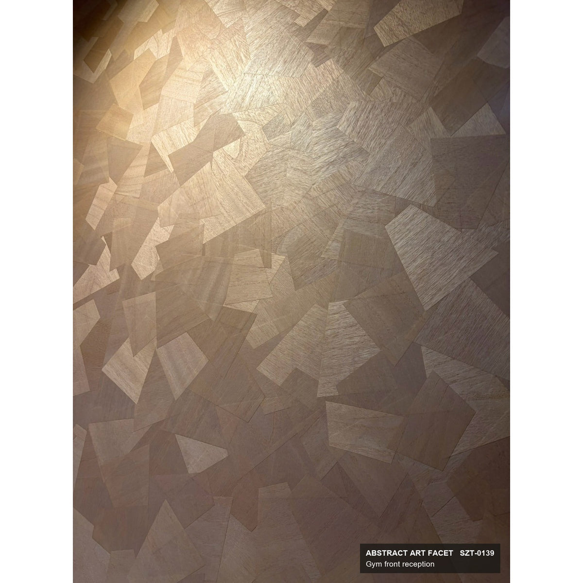 Abstract Art SZT-0139 close up: overlapping wood veneer pieces