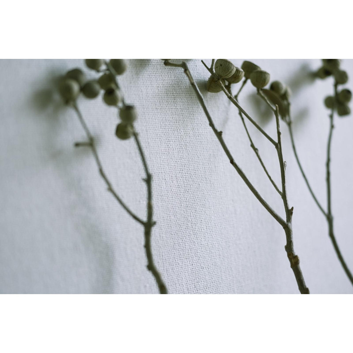 Aoi/Boucle: SZK-0017 - Tampa Sand