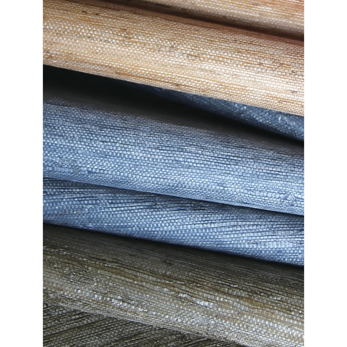 Arrowroot l: SZH-0499 - Soft Skin