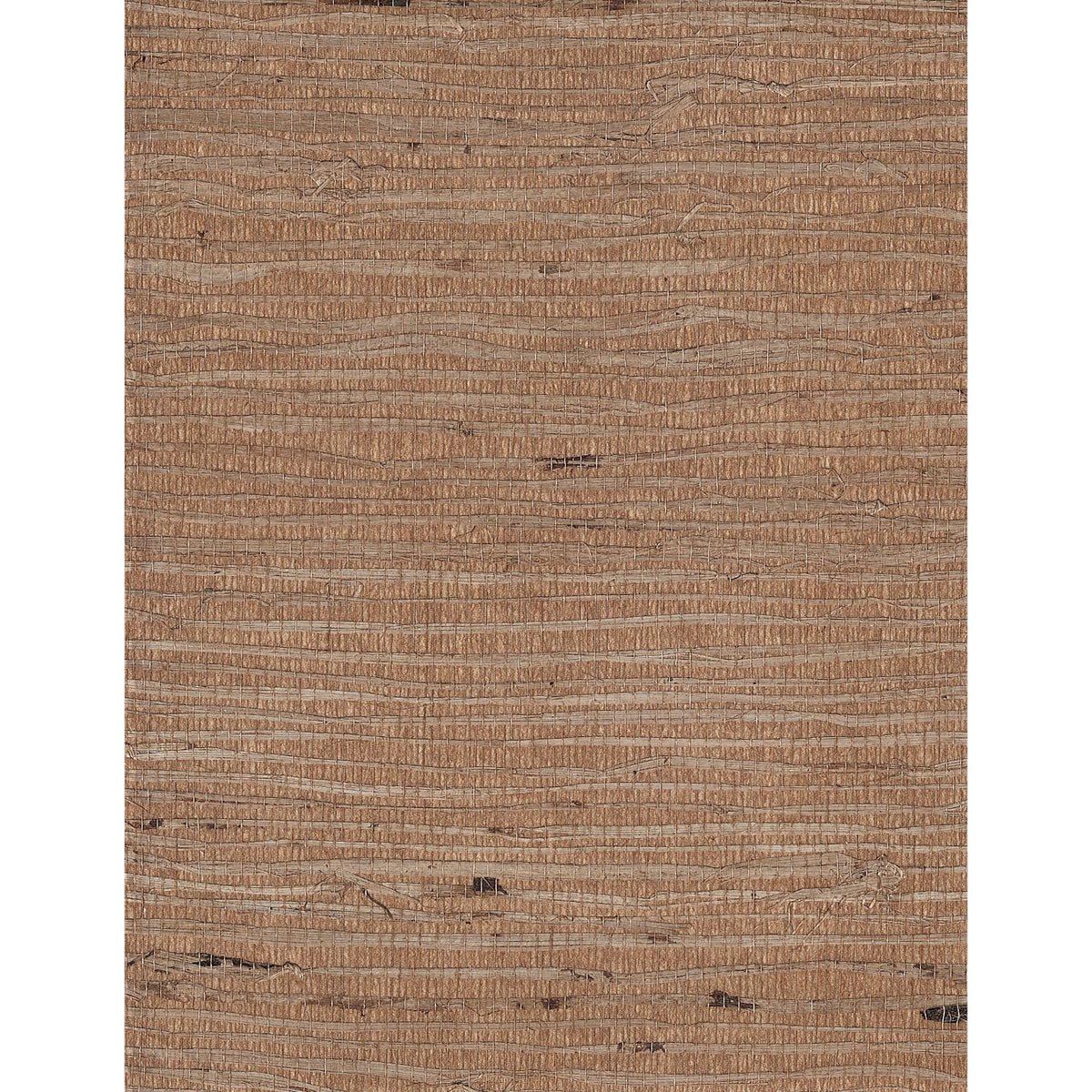 Arrowroot l: SZH-0497 - Kobicha