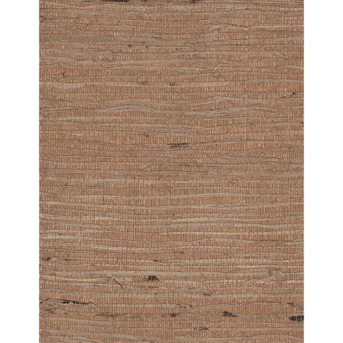 Arrowroot l: SZH-0497 - Kobicha