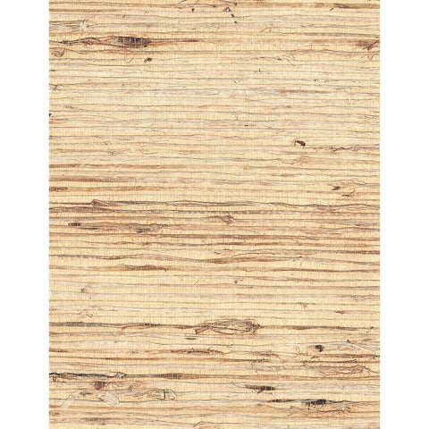Arrowroot l: SZH-0498 - Wheat Wheat