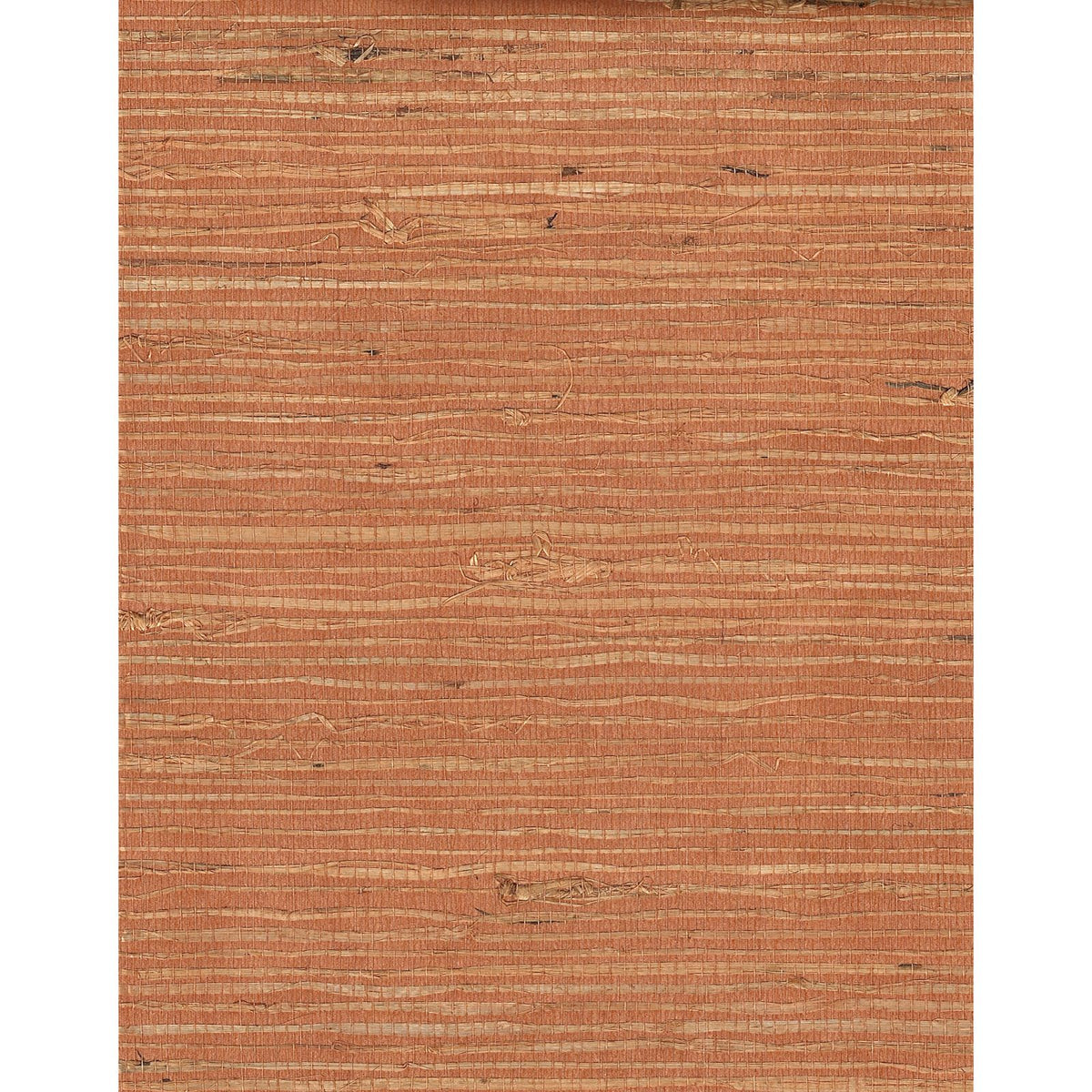 Arrowroot l: Ginger Ginger — SZH-0500