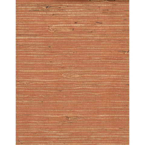 Arrowroot l: SZH-0500 - Ginger Ginger
