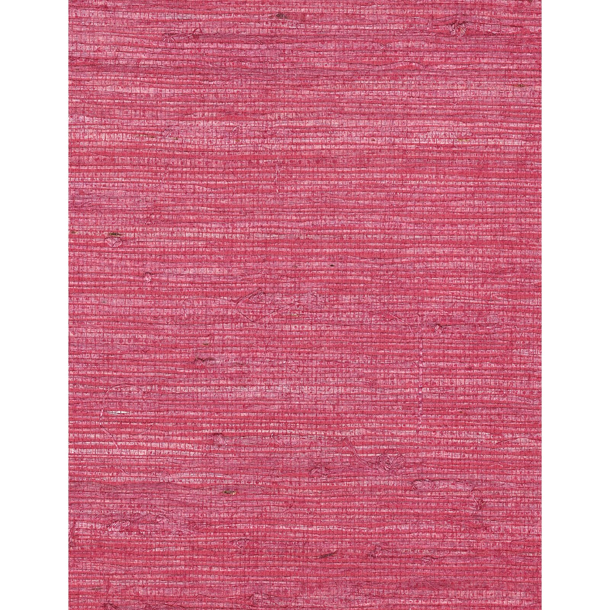 Arrowroot ll: Erythrine — SZH-0511