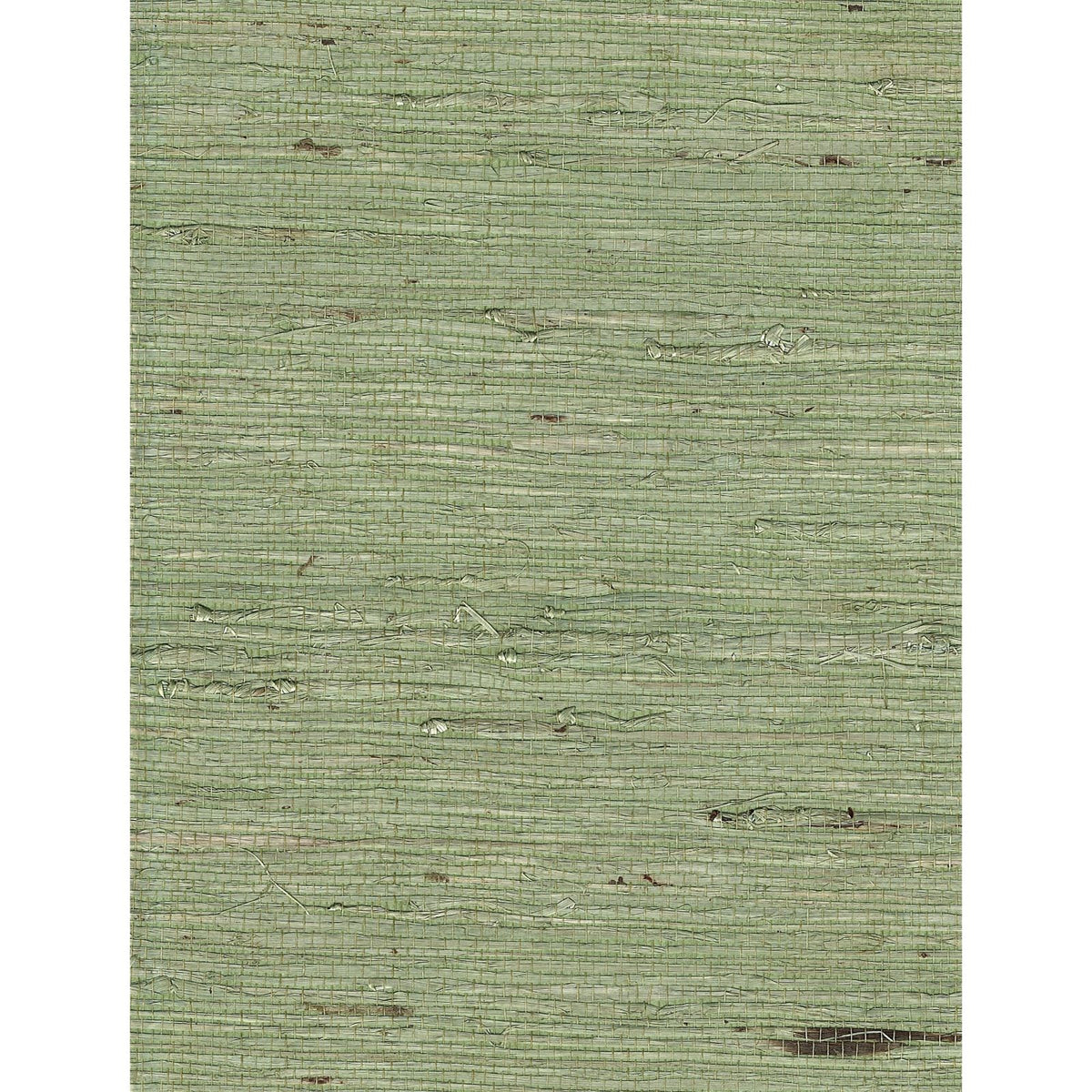 Arrowroot ll: SZH-0512 - Verdant