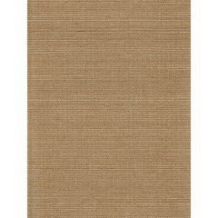 Cocoa