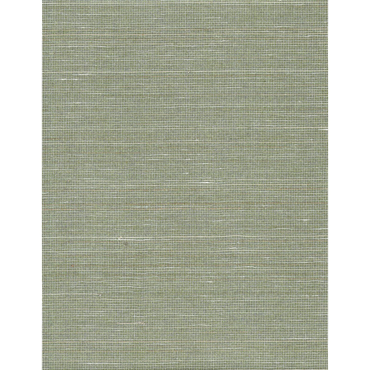 Colorful Abaca: SZH-0659 - Green Dust