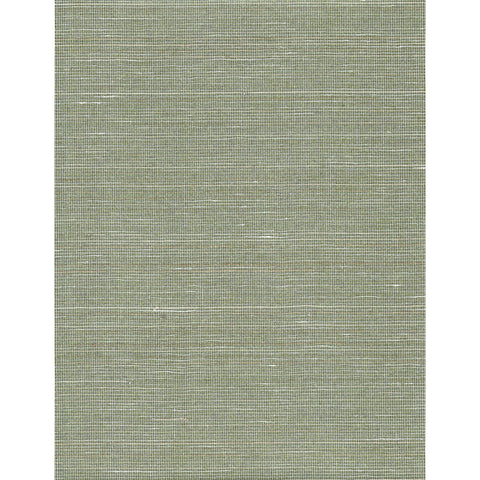 Colorful Abaca: SZH-0659 - Green Dust