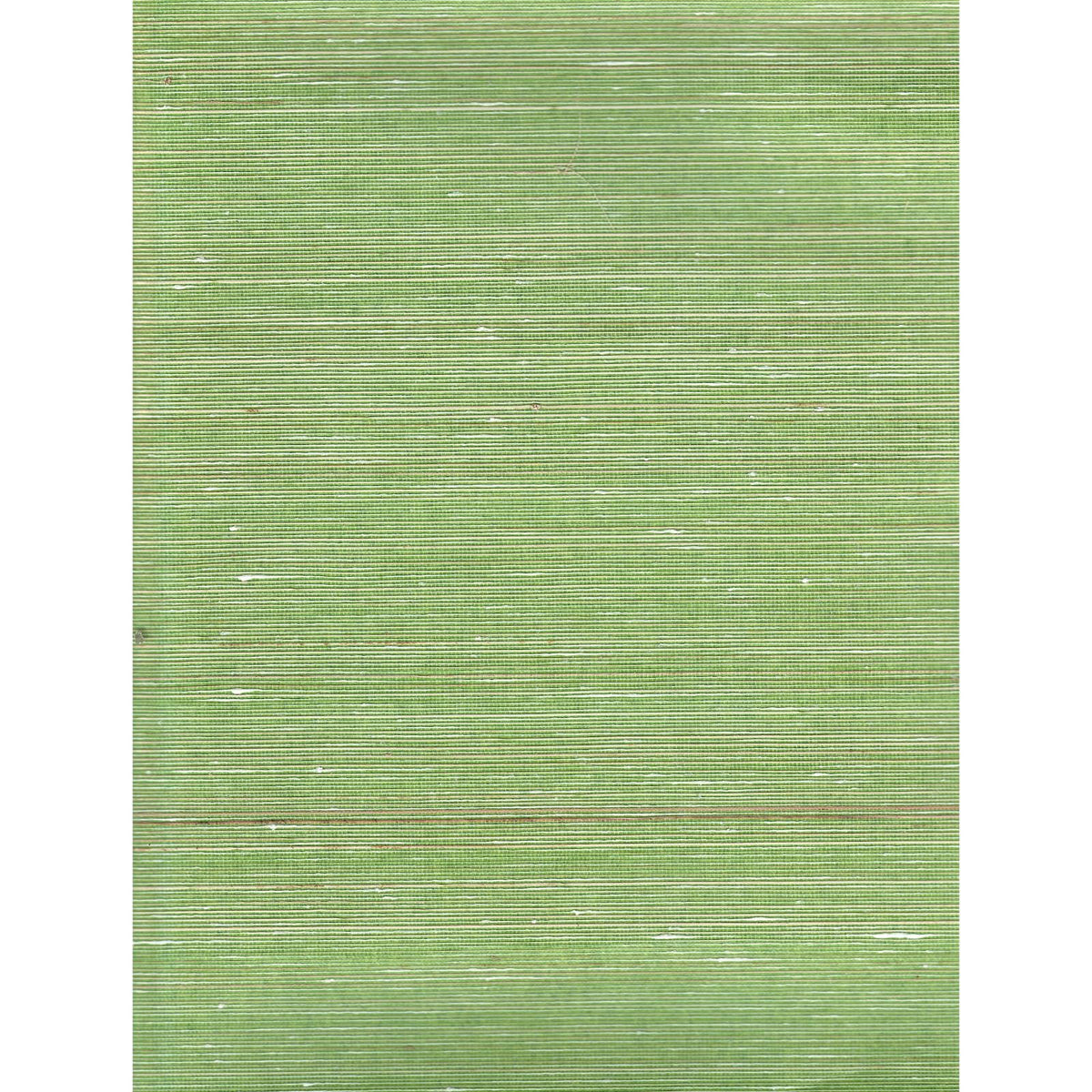 Colorful Abaca: SZH-0684 - Peak Green