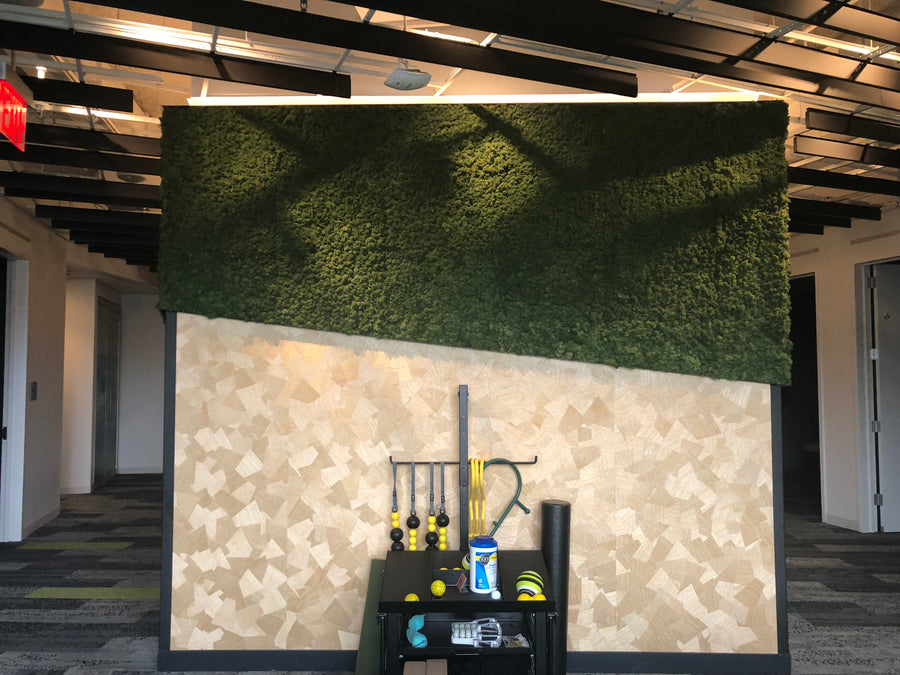 Corporate fitness area, New York