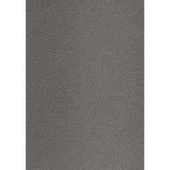 Iron