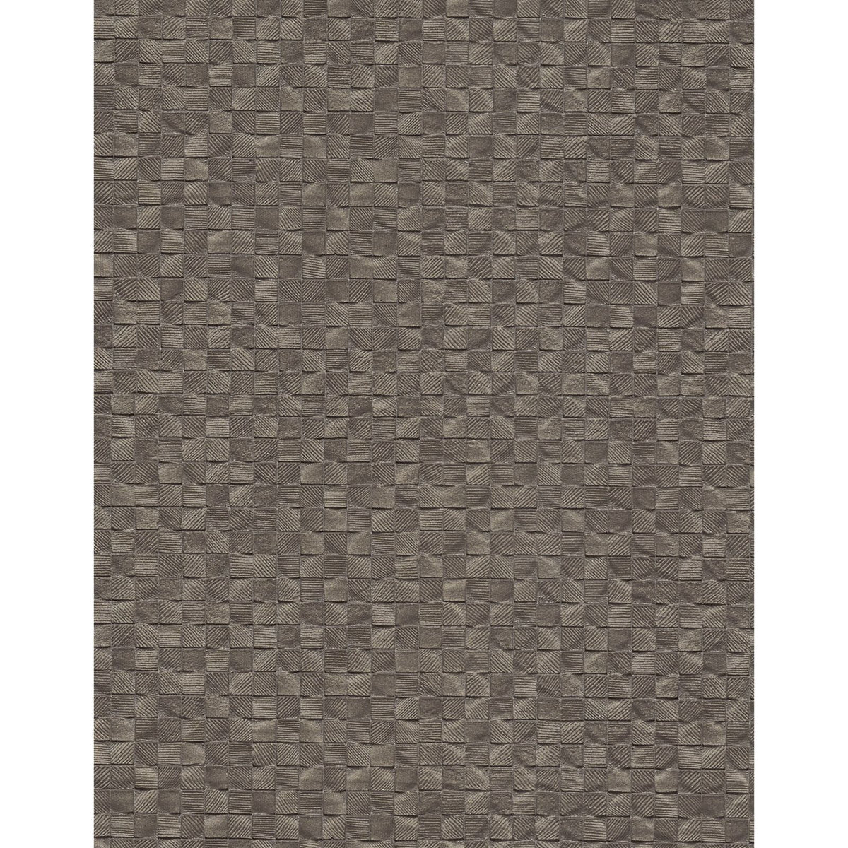 Pleco: Coffee — SZA-0044