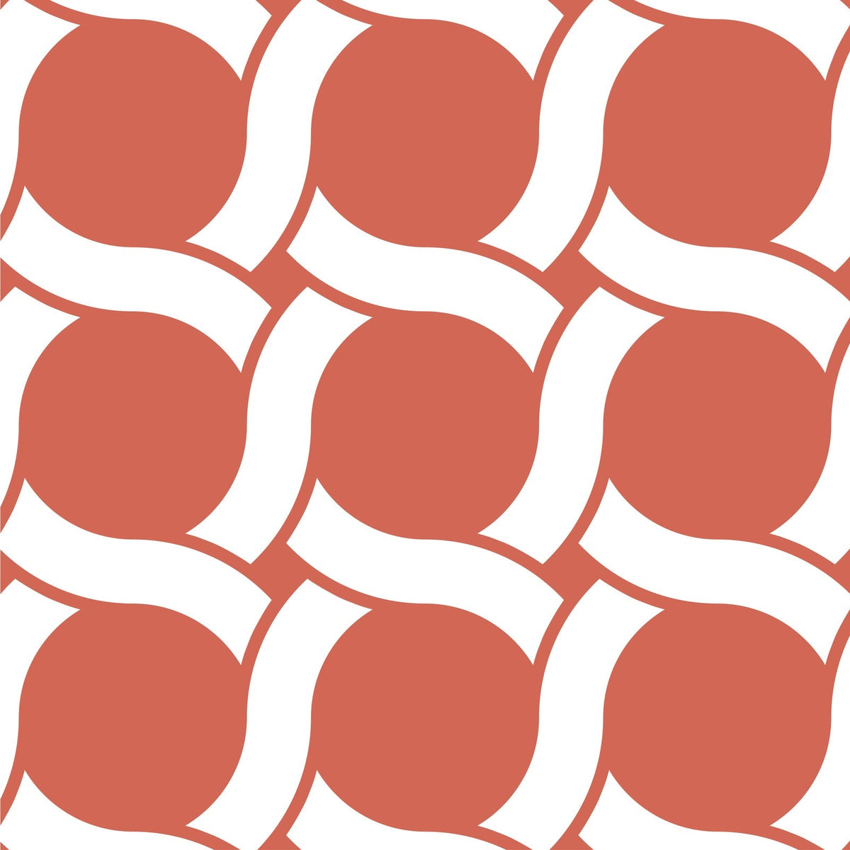 Clue (Silk) Mars, SZD-1020
