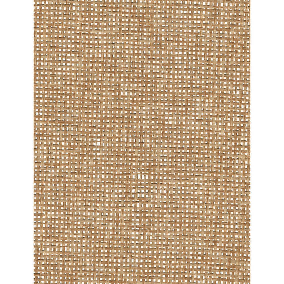 Paper Art Gauze: Sage Camel — SZH-0351