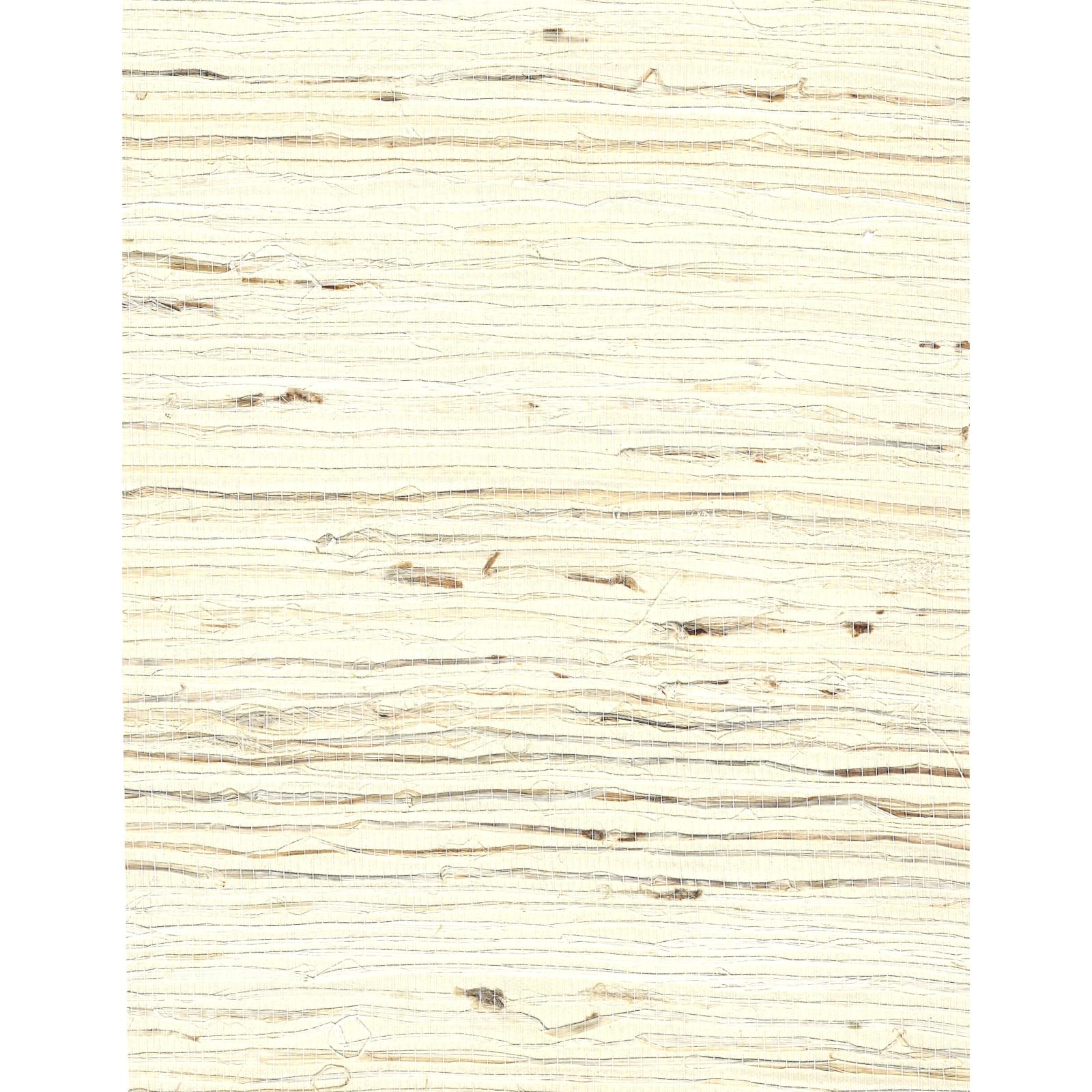 Arrowroot l