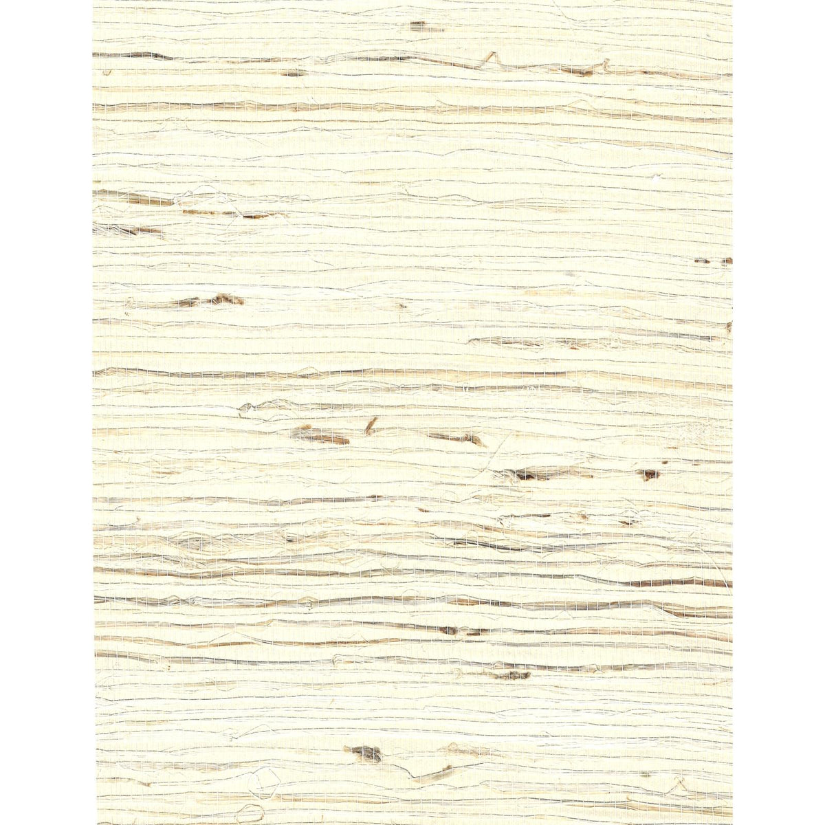 Arrowroot l — Pear White