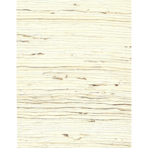 Arrowroot l