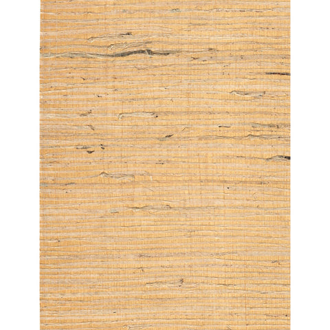 Arrowroot l: SZH-0494 - Buff on Butter
