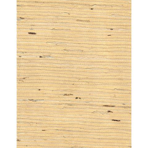 Arrowroot l: SZH-0495 - Tamamorokoshi