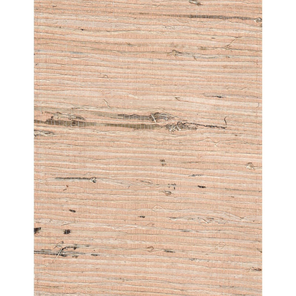 Arrowroot l: Coconut — SZH-0496