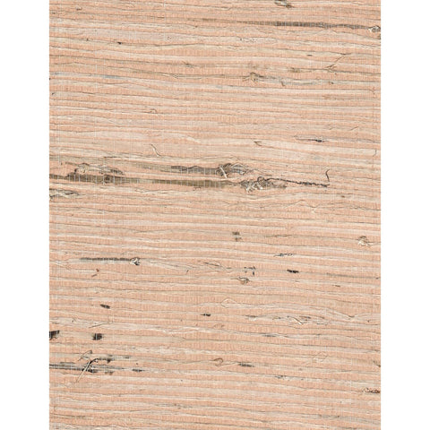 Arrowroot l: SZH-0496 - Coconut