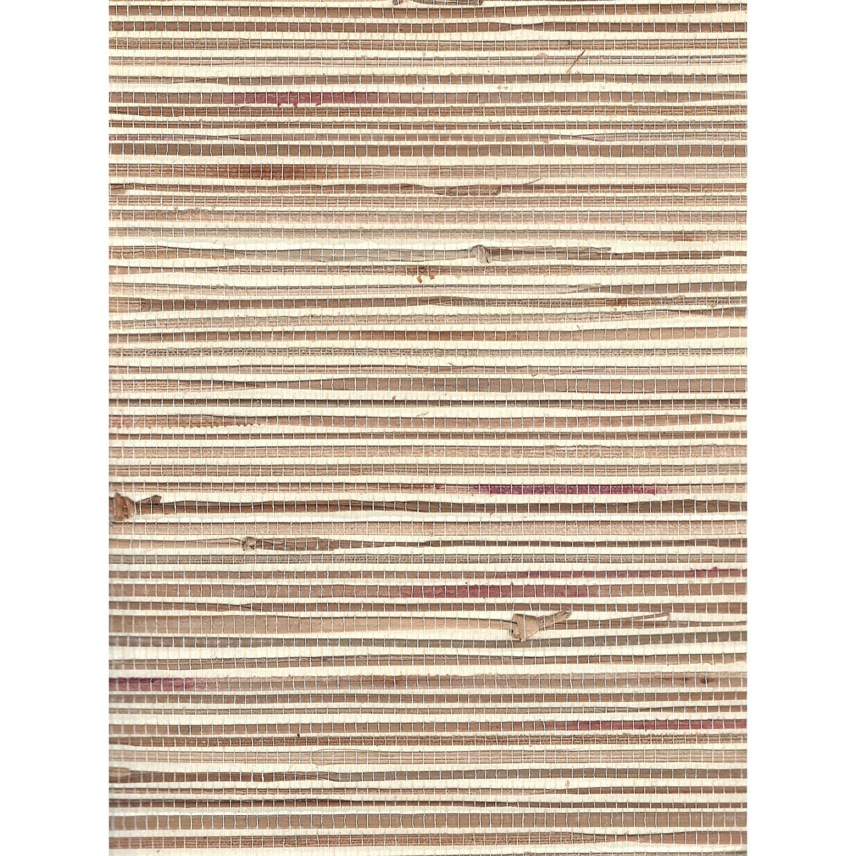 Jungle: Weaves — SZH-0538