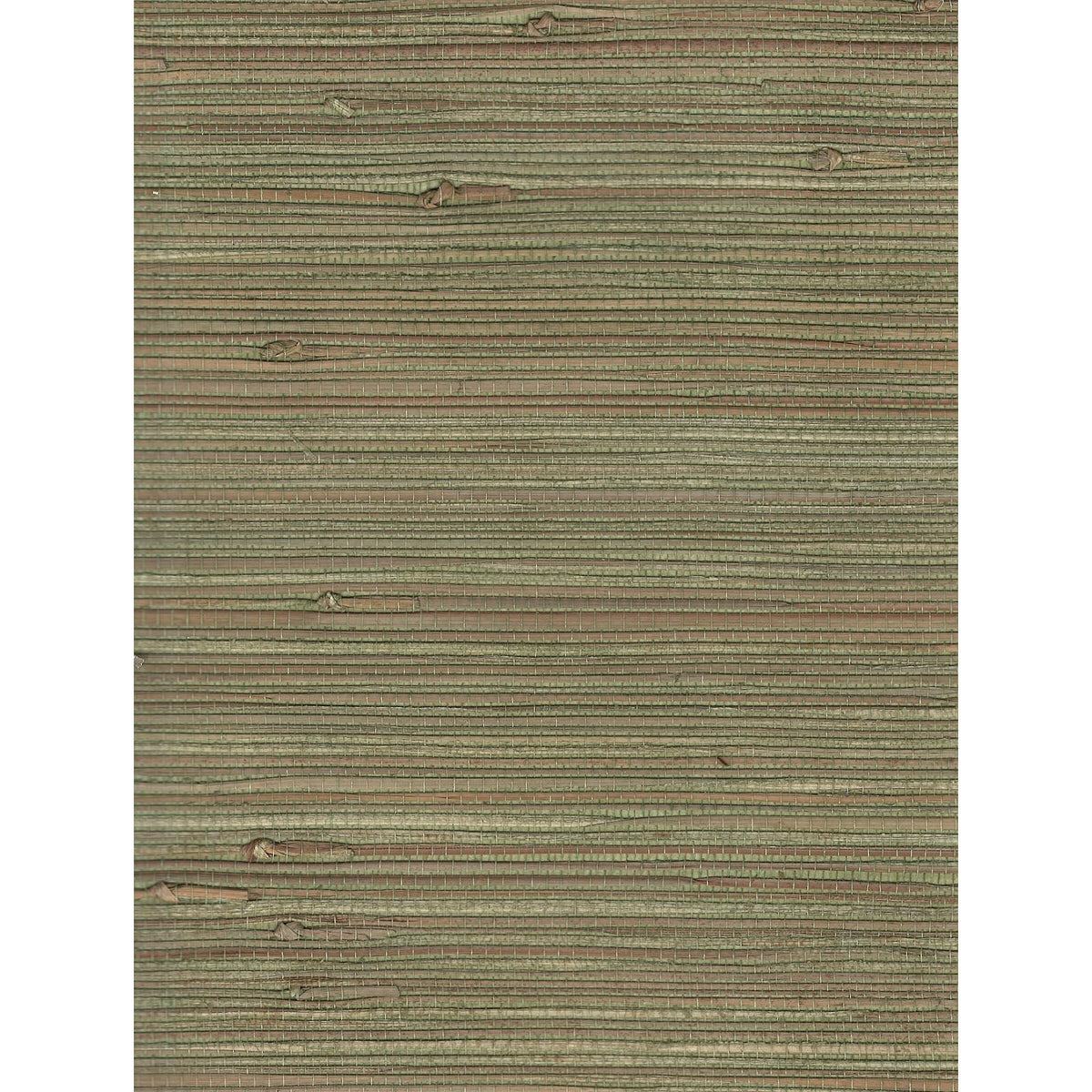 Jungle: Raw Olive — SZH-0544
