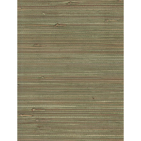Jungle: SZH-0544 - Raw Olive