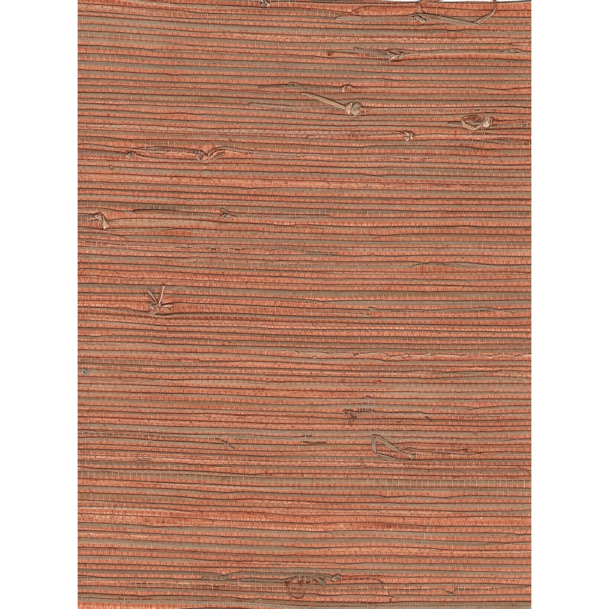 Jungle: Orange — SZH-0545