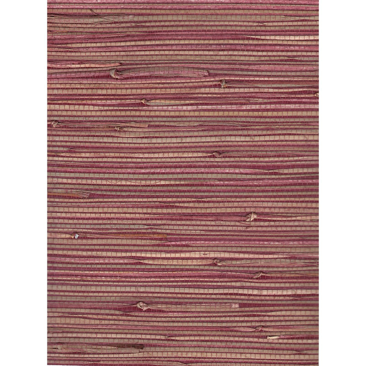 Jungle: Red — SZH-0547