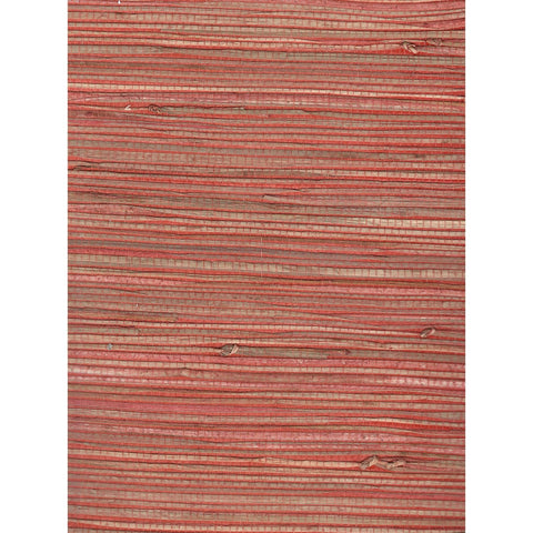 Jungle: SZH-0548 - Brighton