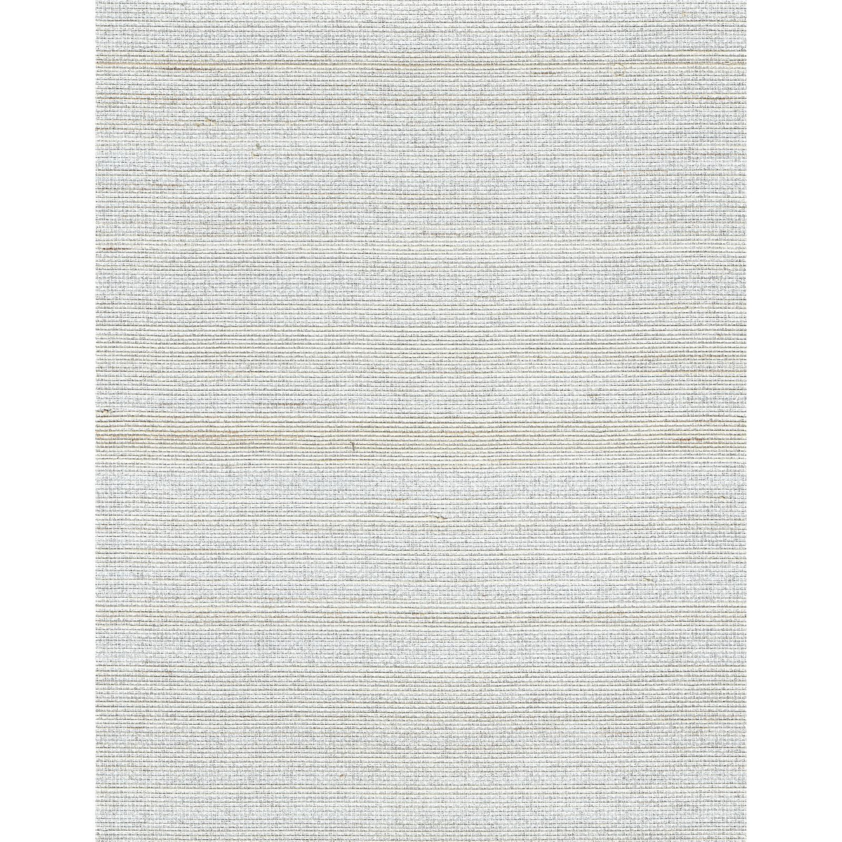 Colorful Abaca — Silver