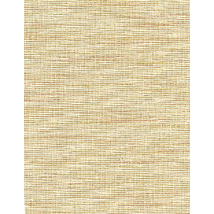 Yasaka/Striae Boucle