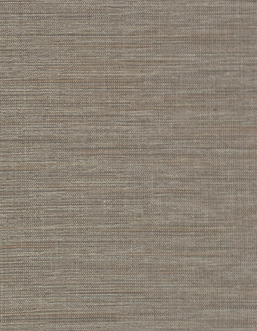 Yasaka/Striae Boucle: SZK-0026 - Tijuana Holiday