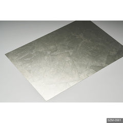 Silver Coin