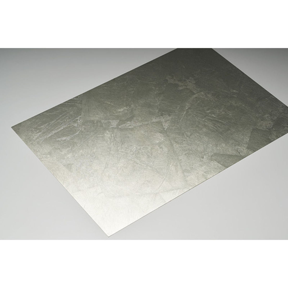 Metal Leaf Scattered: Silver Coin — SZM-0561