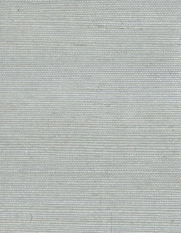 Sisal: SZP-0303 - Ash Gray