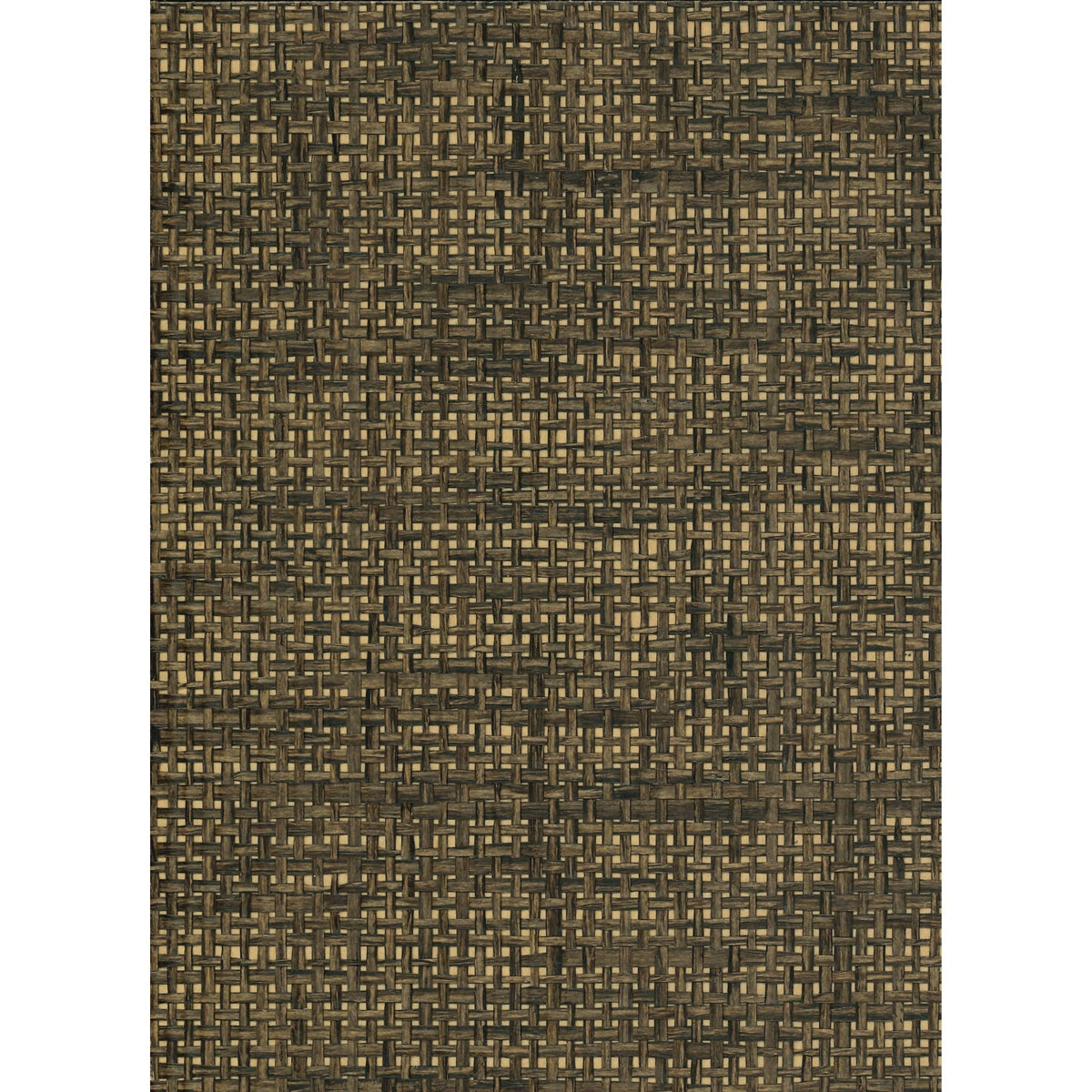 CLASS ACT: Acon on Gold Foil — SZT-0077