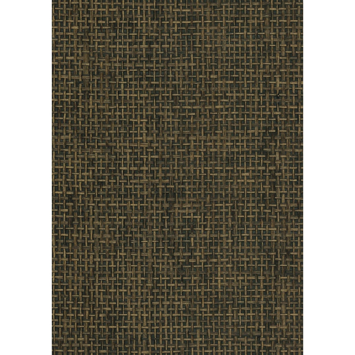 CLASS ACT: SZT-0078 - Falcon Brown