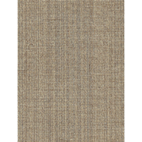 CLASS ACT: SZT-0081 - Oklahoma Wheat