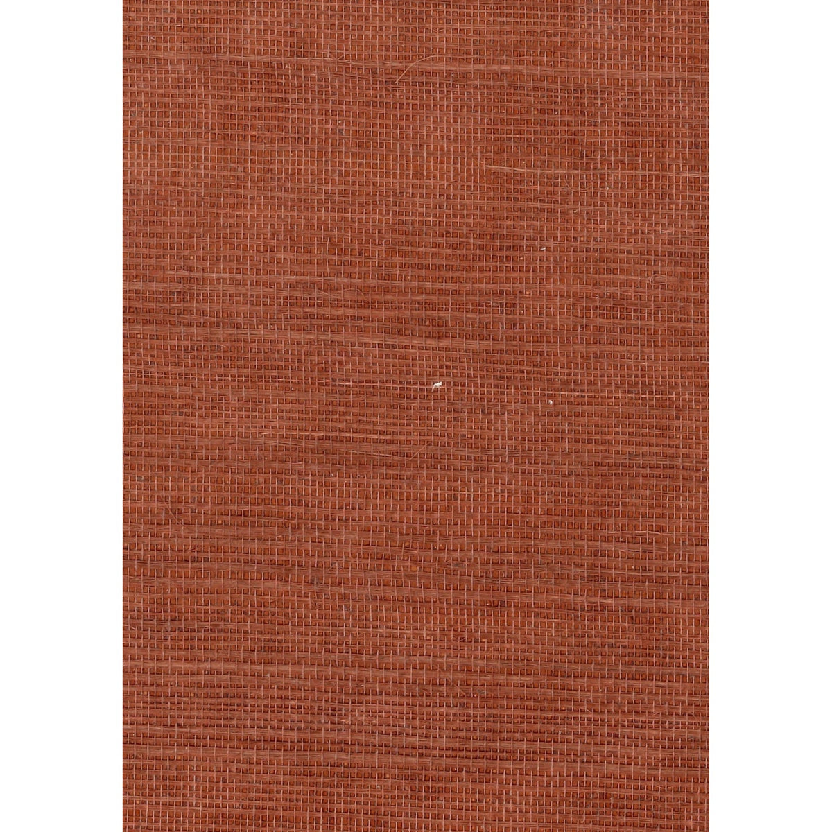 GRANDIOSE: SZT-0097 - Terre D'Egypte