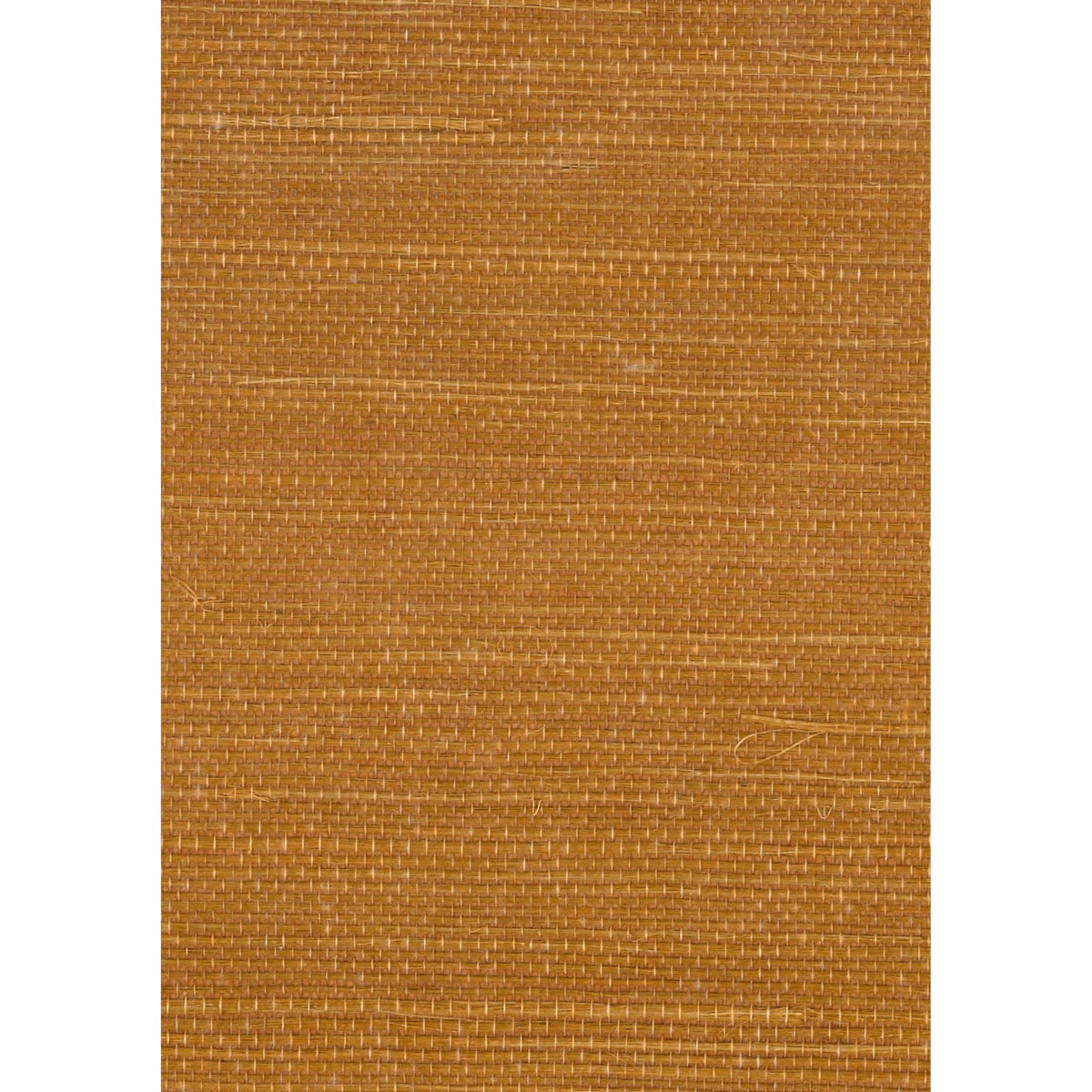 GRANDIOSE: SZT-0099 - Sunset