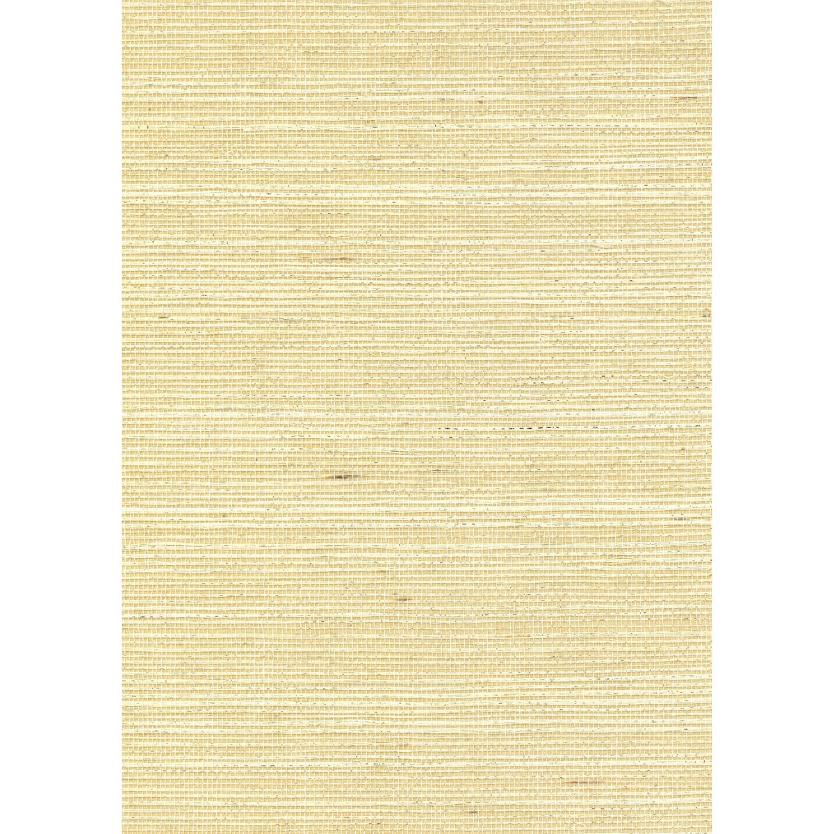 GRANDIOSE: SZT-0103 - Cotton