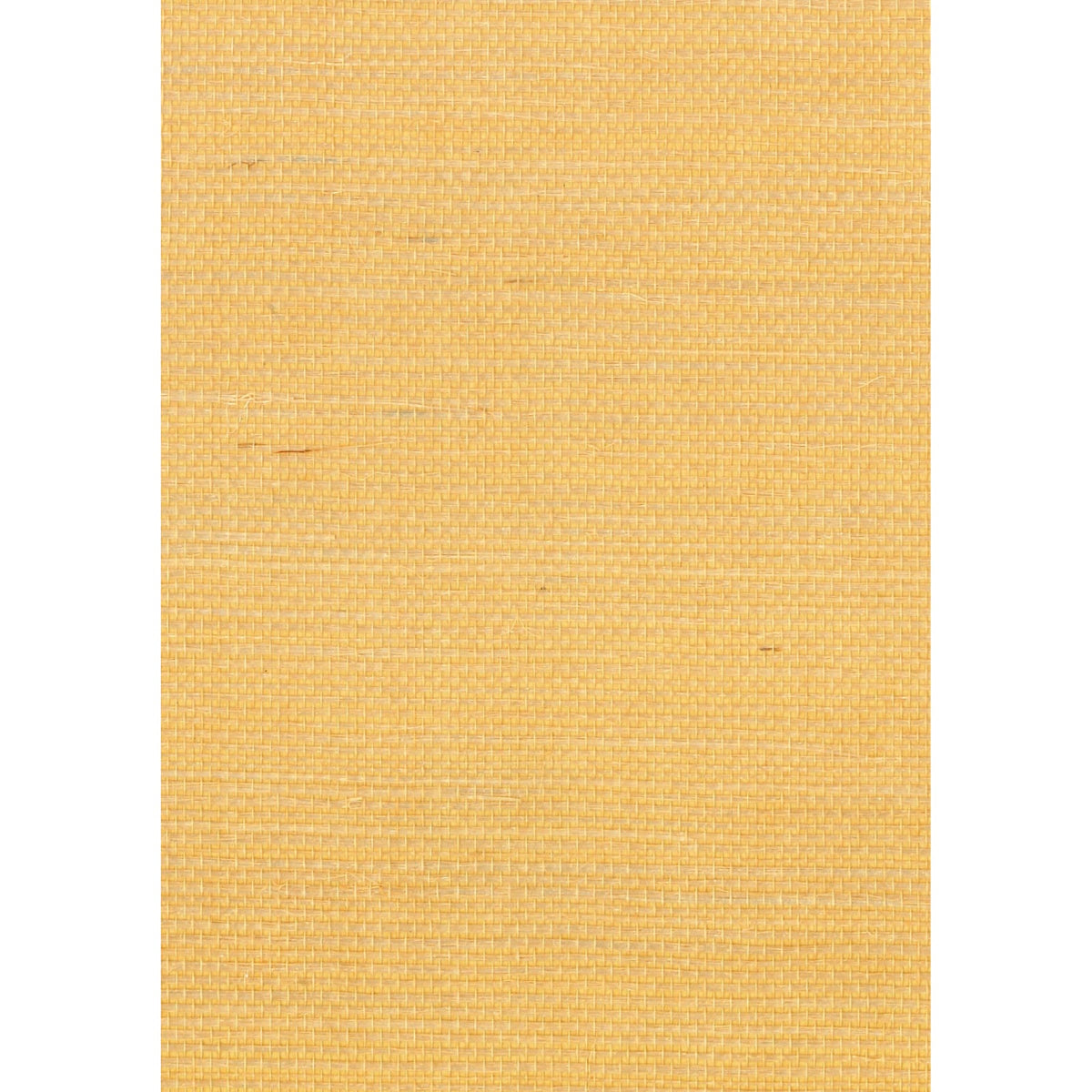 GRANDIOSE: Beach Haven — SZT-0105