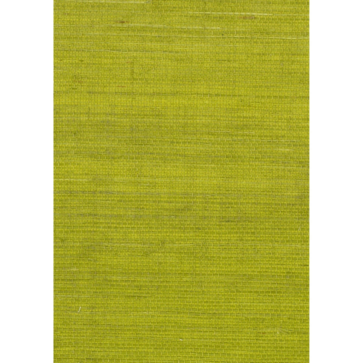 GRANDIOSE: Green Umber — SZT-0106