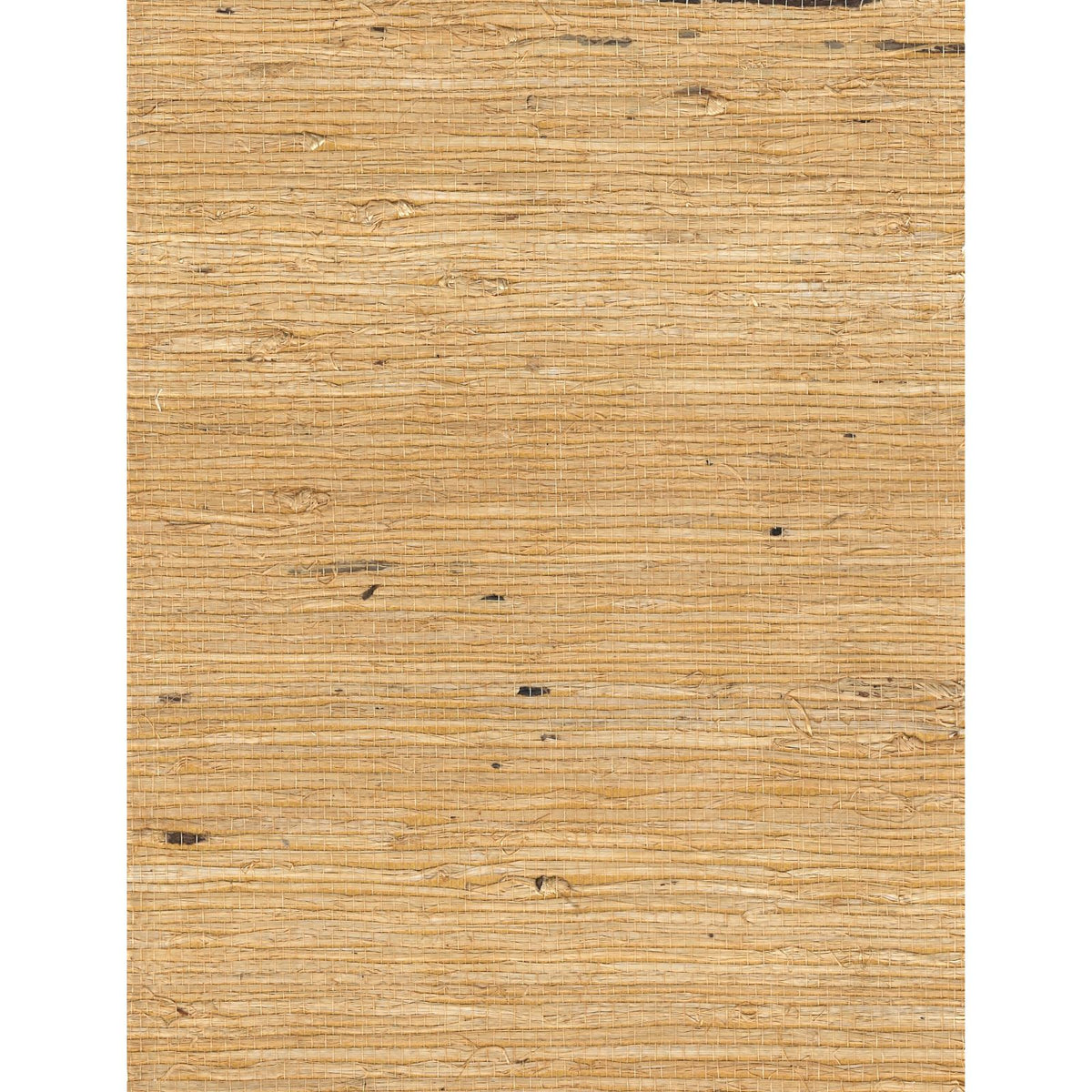 LOFTY: Concord Hue — SZT-0117